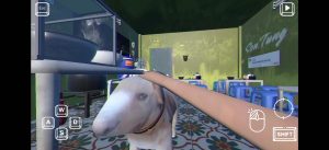 Brother Hai’s Pho Restaurant 2